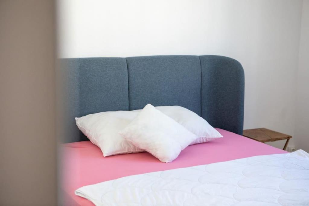 Suite Tres Moderne Et Cosy, Proche Centre-Ville, Mulhouse Centre Eksteriør bilde